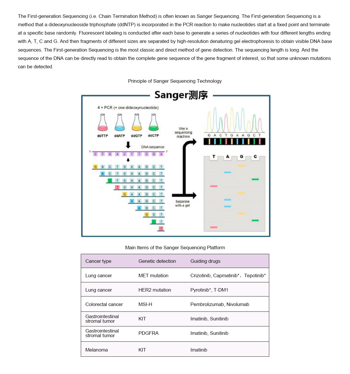 英-检测项目-Sanger测序.jpg