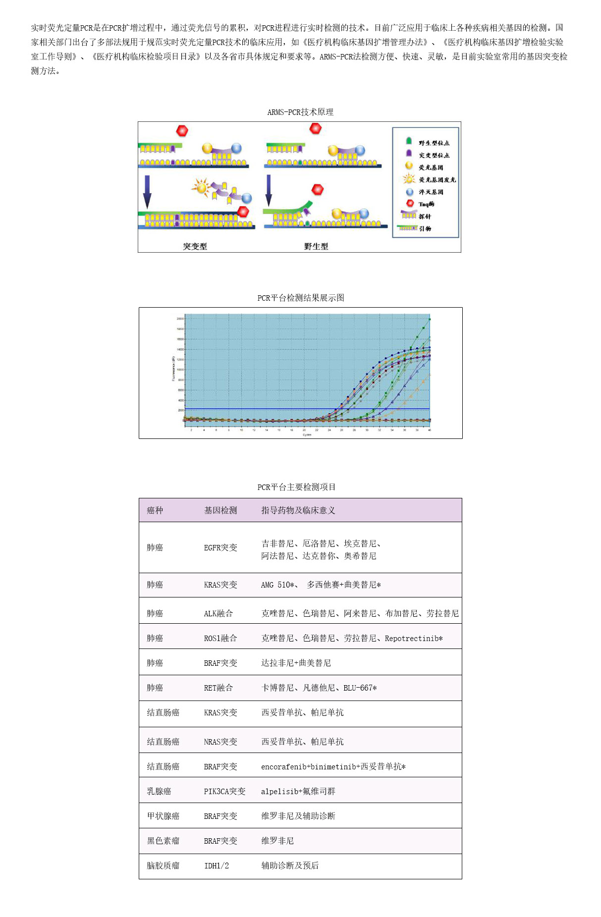 4检测项目-PCR.jpg